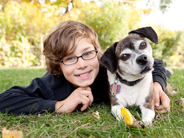 Pet Surgery in Groveport