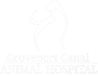 https://groveportvet.com/wp-content/uploads/2022/07/Groveport-White-Logo-200px.png