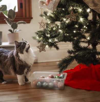 10 Tips for Cat Proofing Your Christmas Tree